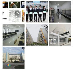 福州IT学校与软件开发课程指南 为您铺就技术职业之路